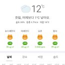 포항교육단 날씨(5.7.일) 이미지