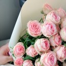 상하이최선생 이미지