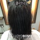 로이드밤 구서점 이미지