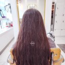 스펠라 헤어 메디컬 이미지