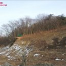 신도리-6 이미지