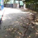 장성초등학교 병설유치원 이미지