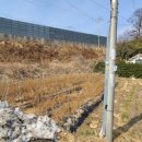 중로1-125 이미지