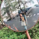 우드카빙과 힐링 이미지