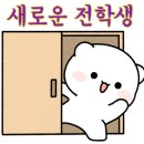샵오팔(Opal) 네이버블로그