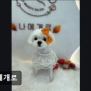 나에개로