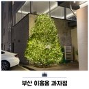 망미2동 | 부산 베이커리 이흥용 과자점 수영 내돈내산 방문 후기