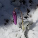 백운산토종꿀