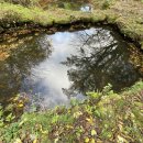 진설목장 이미지