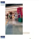 샐리네작업실