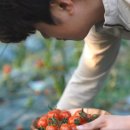 최성농장 이미지