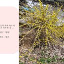김포통진하이웨이 이미지