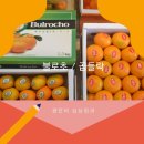 달콤싱싱청과