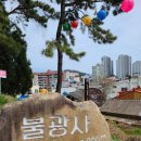 초연중학교 | 진달레가 가득한 트레킹코스 추천
