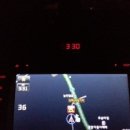 마당나온수탉 이미지