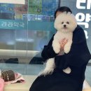 베리굿동물병원 이미지