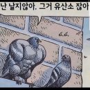 포에프 트레이닝 이미지