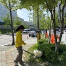 옐레드애견유치원&애견호텔동탄예당점