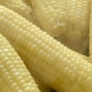 복골농장1 이미지