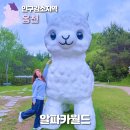 사슴자연 방목장 | 홍천 알파카월드, 5월 강원도 놀거리 가볼만한 곳