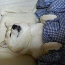 테크노밸리 호텔 이미지