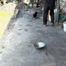 으랏차풍천장어 | [경기도 이천] 으랏차풍천장어 겉바속쫄! 이천 인생장어 찐맛집 친구돈친구산 후기