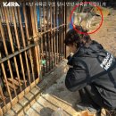 이반 1농장 네이버블로그