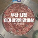부산시청 소고기맛집 아가네명인갈비살 부산시청점