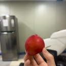 문상훈한의원 | 찐 6월 끝