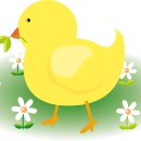 하나비뇨기과의원 이미지