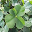 부평공원 이미지