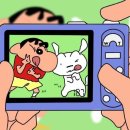 롱샷 | W5. 제주스냅 셔터프레소 | 롱샷 계약 후기 (맥스 작가님)