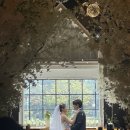 11545-03-13-12 | [임신기록03] 안정기 진입 ! 12주차 ~ 18주차