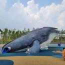 고래공원 이미지