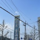 울산 언양불고기맛집 언양원조불고기 내돈내산 포장후기