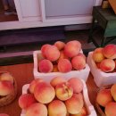 갑을농장 이미지