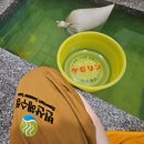 변산해수찜. 해수탕 이미지