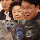 여비서 이미지