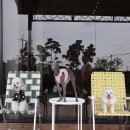 댕그라운드 이미지