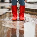 비나코리아 이미지