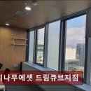 느티나무에셋 드림큐브지점