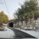 파인피노 이미지