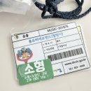 노래하는 삐에로 이미지