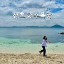 우도 가볼만한곳 서빈백사 산호 해수욕장 사진 명소 추천