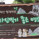 대전 장태산, 안평산 정기산행(8월22일)| 이미지