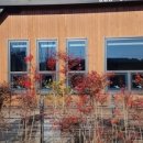 사월의국수 이미지