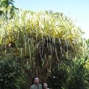 서정농장 이미지