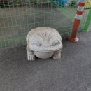 까사구스토 이미지