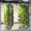 우림농장 이미지