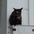 알라딘게임장 | Koreanman in Istanbul / 이스탄불